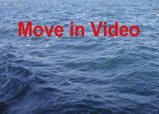 Move in Video